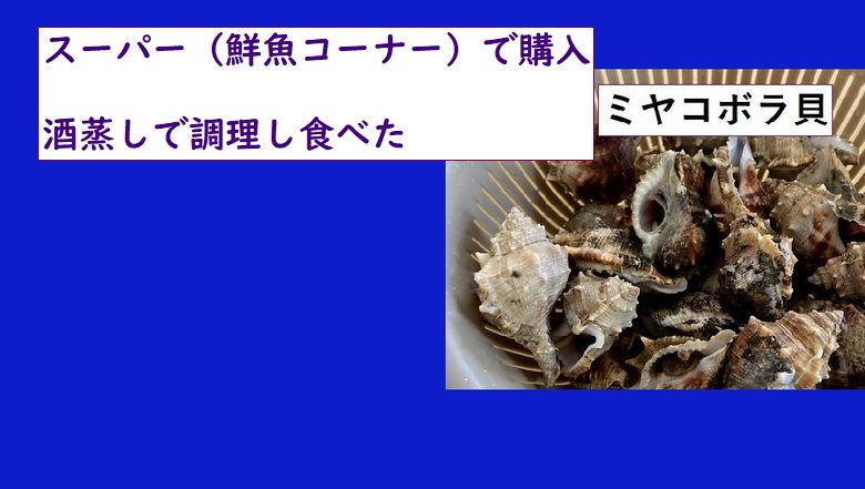 ミヤコボラ貝をスーパー（鮮魚コーナー）で購入！「酒蒸し」で調理し食べた♪