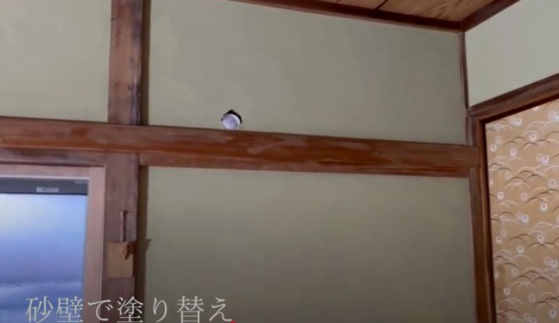 大阪市住吉区で左官の砂壁塗り動画を紹介