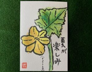 キュウリの花の絵手紙