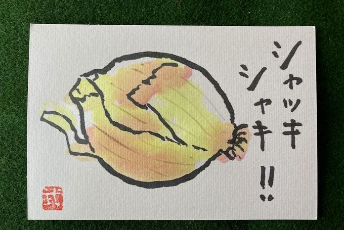 泉州たまねぎの絵手紙