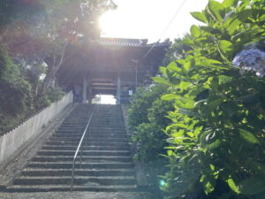 泉南の長慶寺のアジサイは有名な観光スポット☆駐車場とトイレもあります