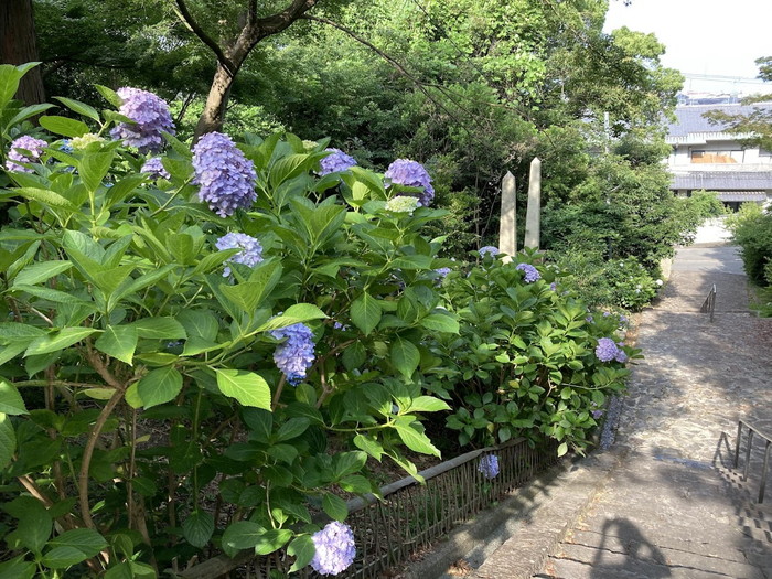 長慶寺の厄除け階段