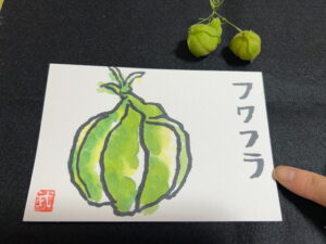 フウセンカズラの絵手紙