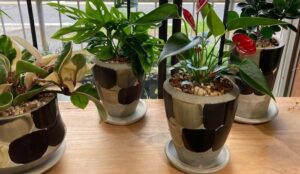 和室に置くと良い風水アイテム